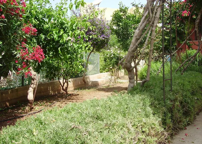 Kissonerga Apartamento *